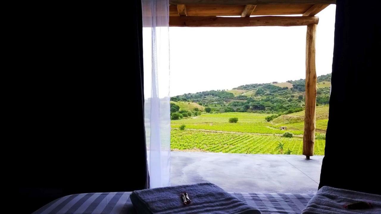 Les Cabanons De Meme Jeannette Bed and Breakfast Port Vendres Εξωτερικό φωτογραφία